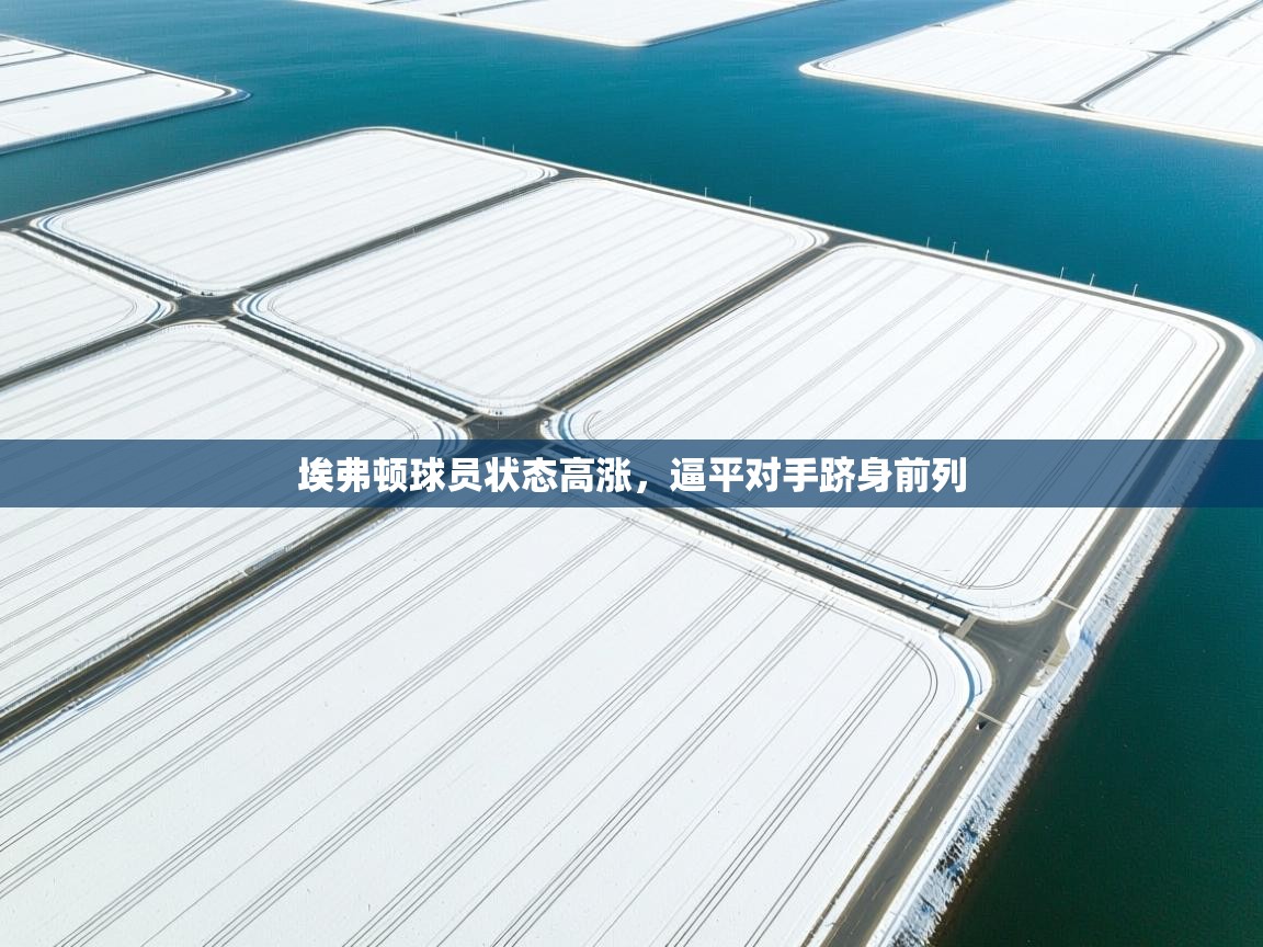 埃弗顿球员状态高涨，逼平对手跻身前列  第1张