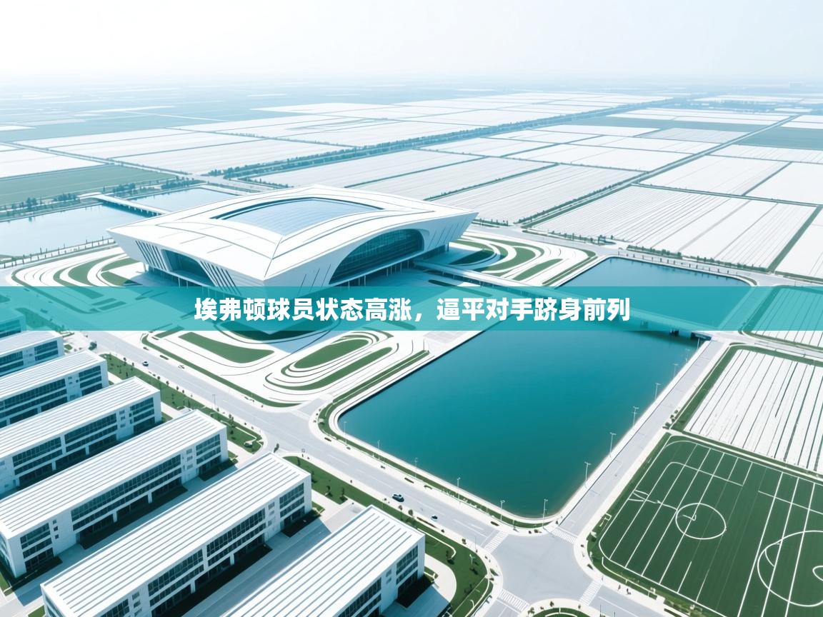 埃弗顿球员状态高涨，逼平对手跻身前列  第2张