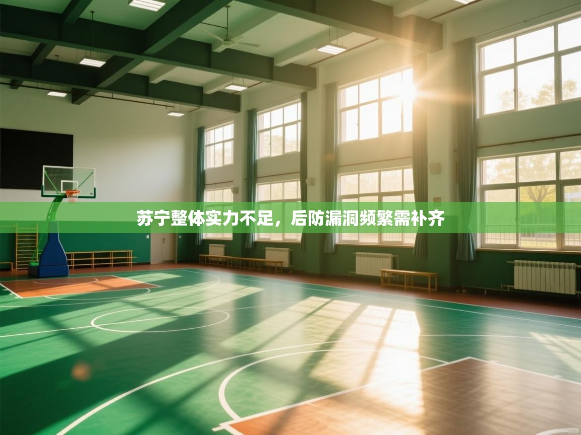 苏宁整体实力不足，后防漏洞频繁需补齐  第2张