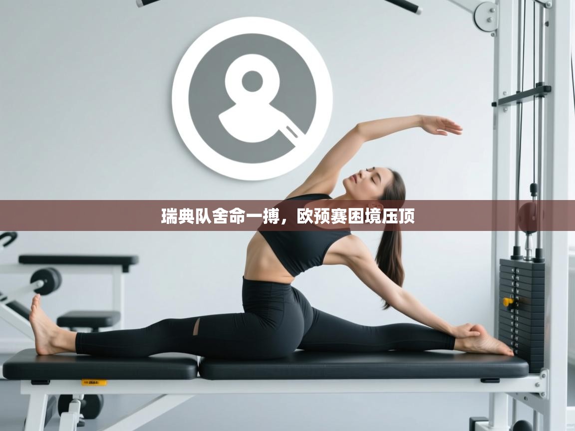 瑞典队舍命一搏，欧预赛困境压顶  第2张