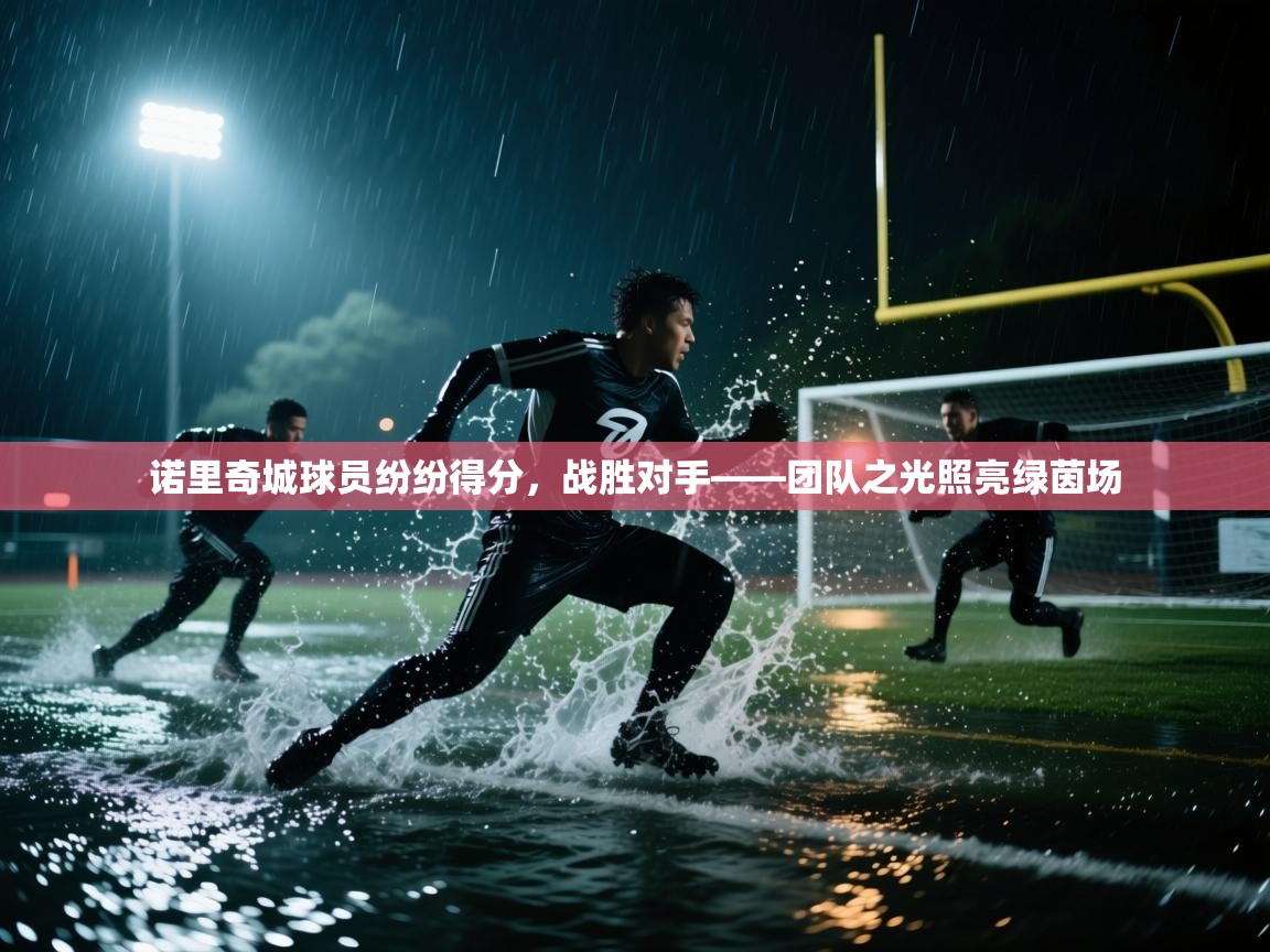 诺里奇城球员纷纷得分,战胜对手——团队之光照亮绿茵场 第1张