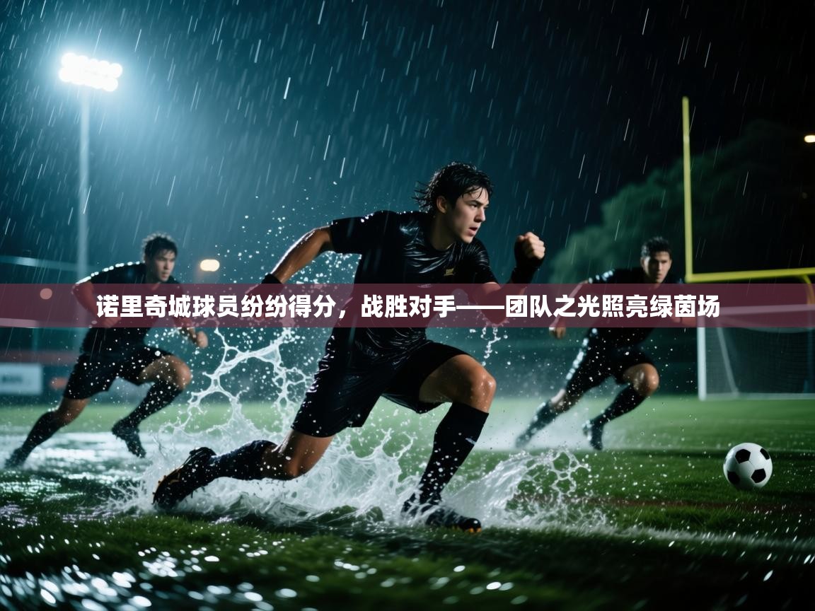 诺里奇城球员纷纷得分,战胜对手——团队之光照亮绿茵场 第2张