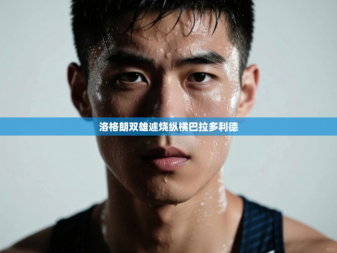 洛格朗双雄遽烧纵横巴拉多利德 第1张