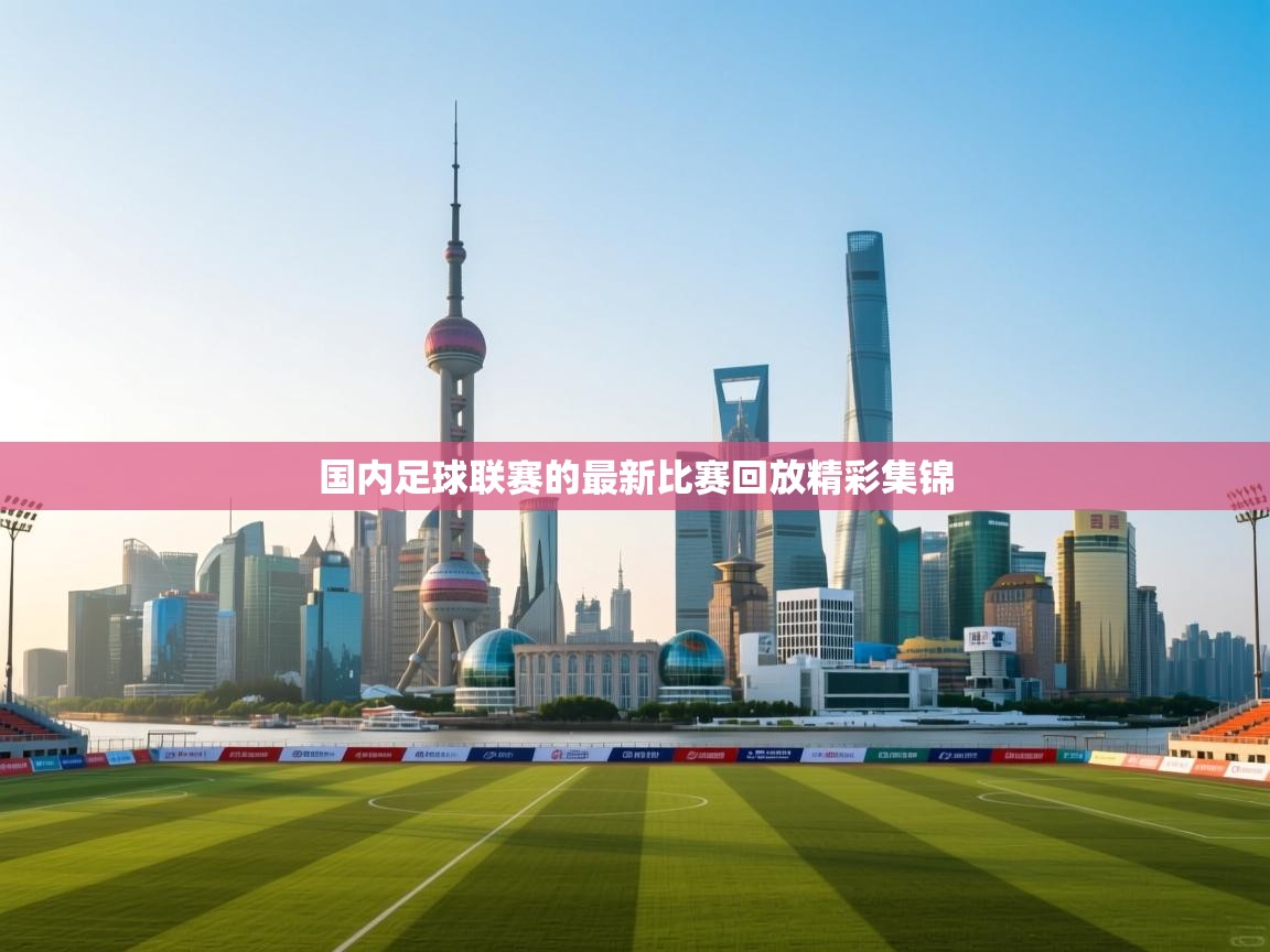 国内足球联赛的最新比赛回放精彩集锦  第1张