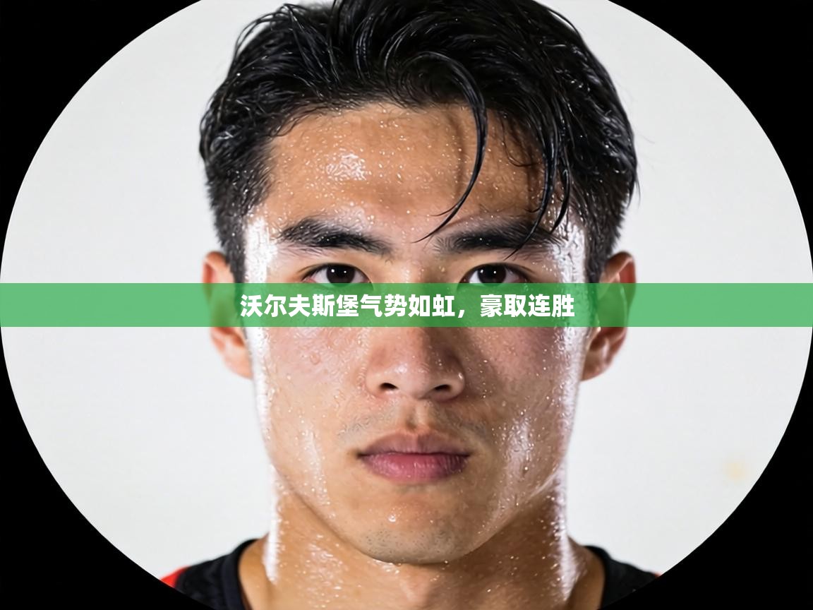 沃尔夫斯堡气势如虹，豪取连胜  第1张