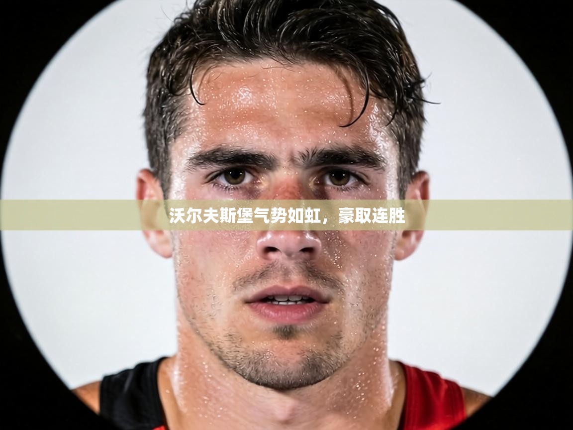 沃尔夫斯堡气势如虹，豪取连胜  第2张