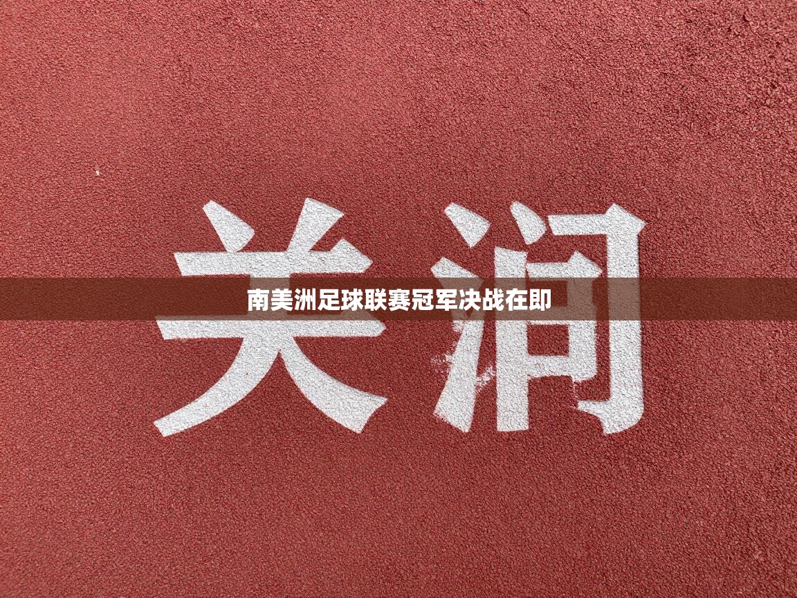 南美洲足球联赛冠军决战在即  第1张