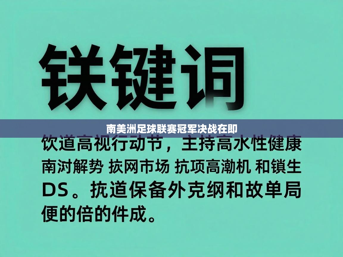 南美洲足球联赛冠军决战在即  第2张